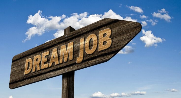 online jobs for student without investment